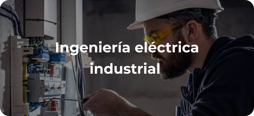 Bild ist nicht verfügbar